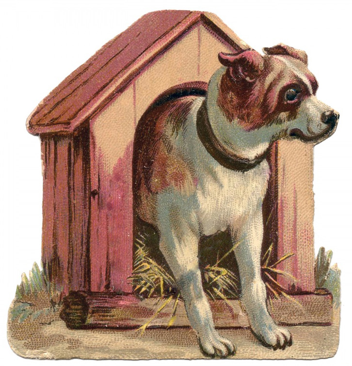 Vintage illustration of a dog coming out of a kennel