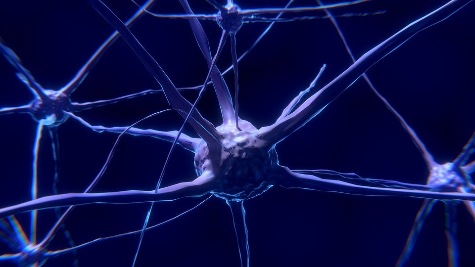 A CGI image of a neuron, coloured purple