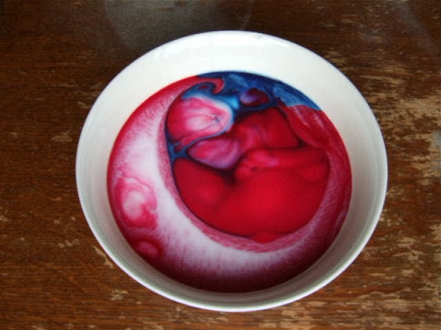 Psychedelic Patterns in milk and food colouring