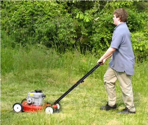 Mowing the grass