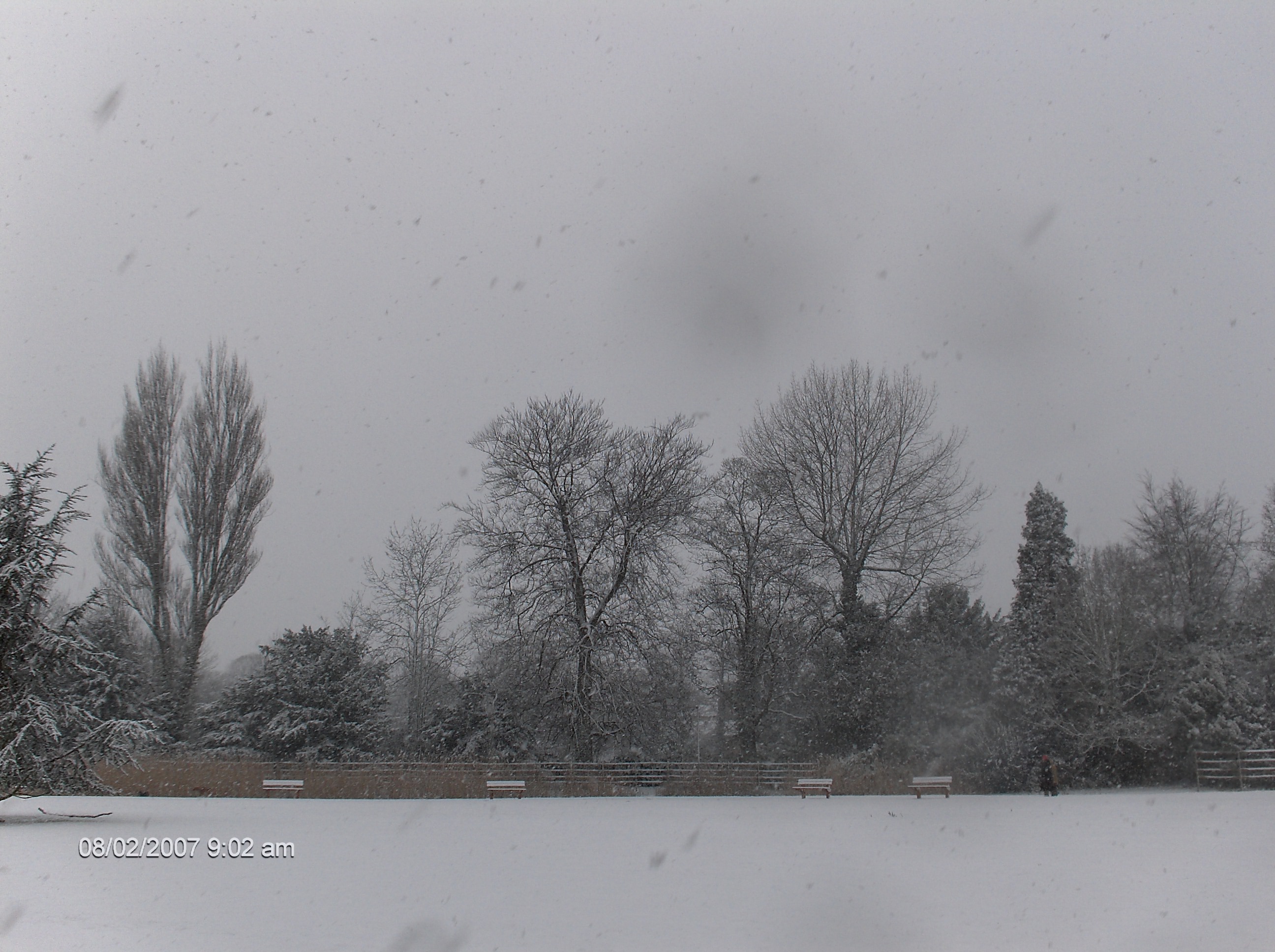 this is the first pic of snow in the new house