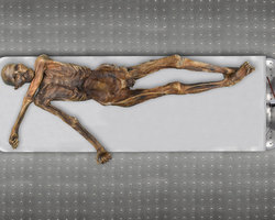 The mummy of the Tyrolean Iceman in his preservation cell at the Archaeological Museum of Bolzano.