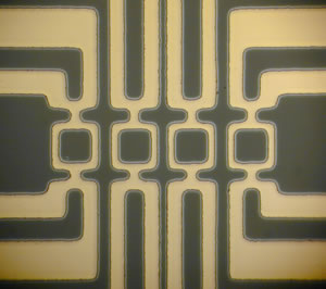 4 Squid superconductors