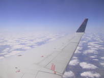A plane wing