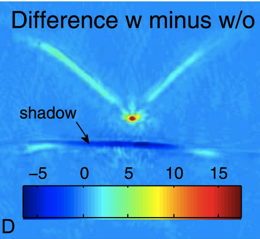 Some bats rely on the detection of acoustic shadows to locate their prey.