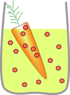Carrot in oil