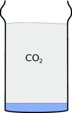 A glass of CO2