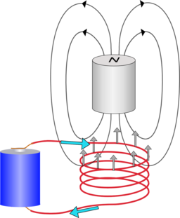 Force on coil near magnet