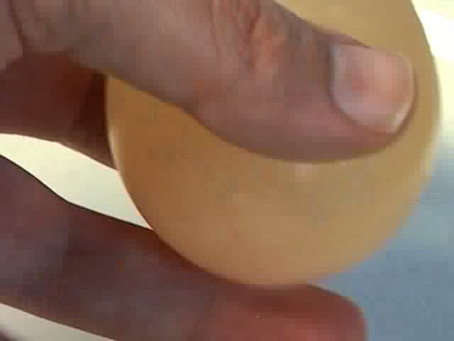 Shelless Egg teaser
