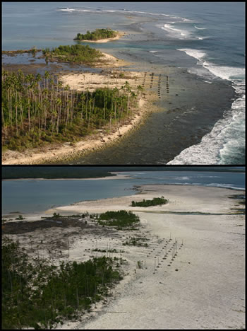 Figure 1: The top panel shows slow interseismic subsidence along the southwestern coast of Nias (notice submerged palm plantation). The bottom panel shows coseismic uplift in March 2005 of about 2.5 m. Copyright: Professor K. Sieh, GPS, Caltech, USA.