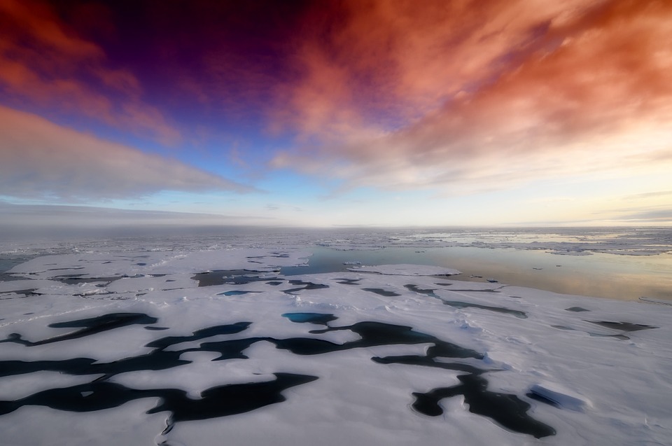 The Arctic sea