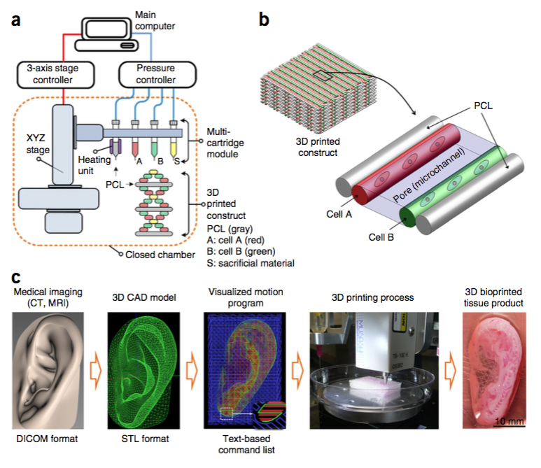 3d bioprinter flow diagram