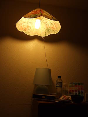 Compact Fluorescent Lamp (CFL)