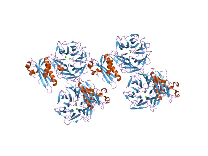 Colicin N toxin structure