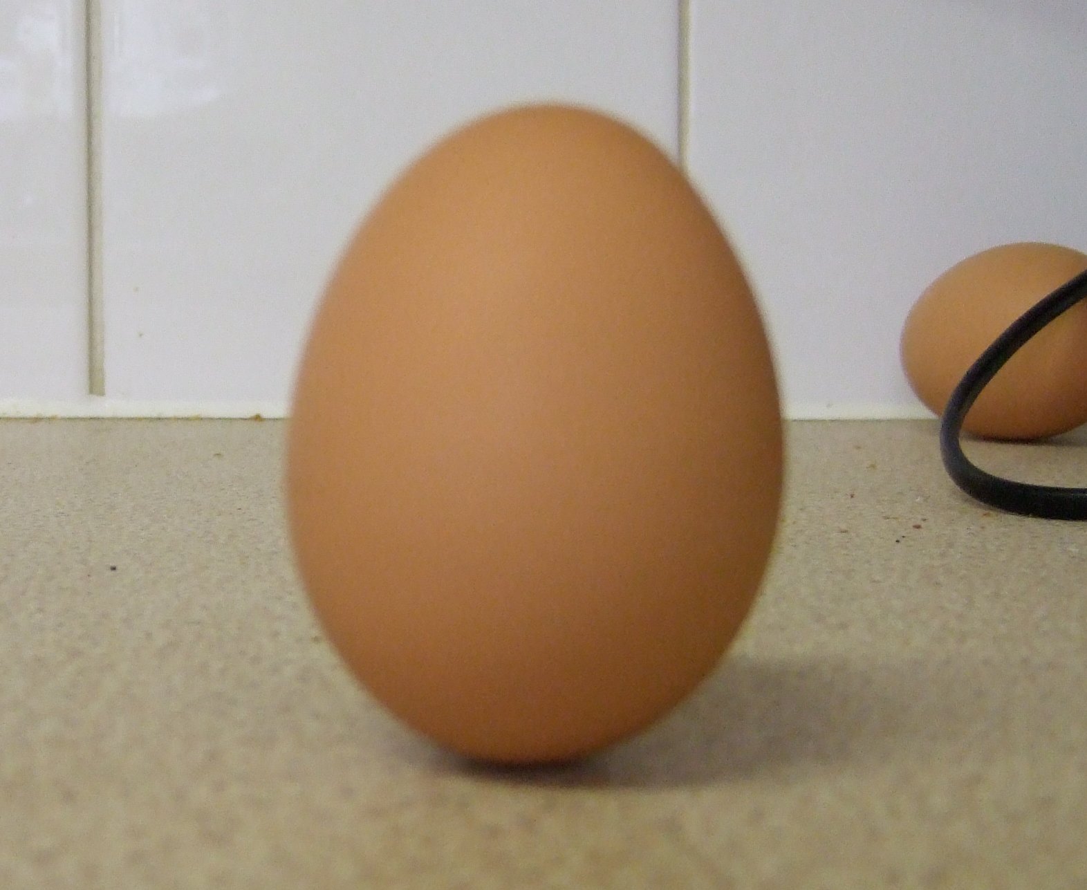 The egg stands on end