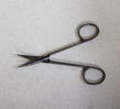 A small pair of scissors