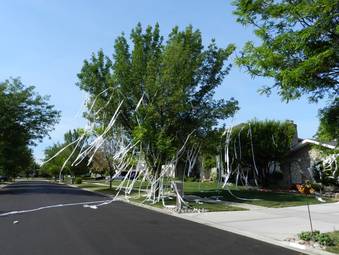 Toilet-papered house