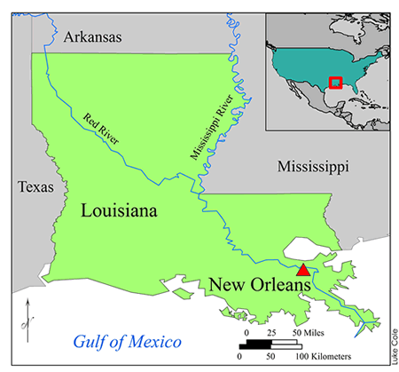 Where are the Louisiana Wetlands
