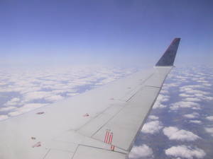 A plane wing