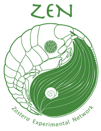 Zostera Experimental Network logo