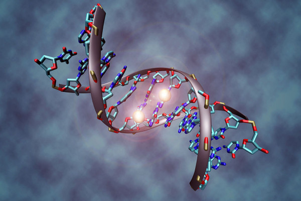 DNA methylation