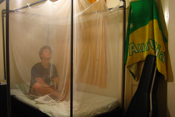 Mosquito Net