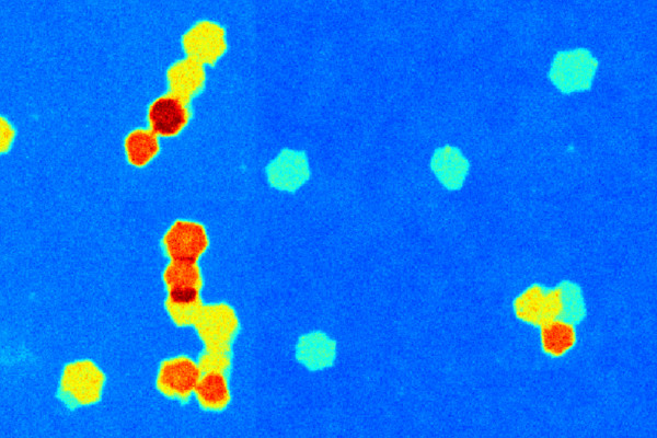 2D Materials dissolved