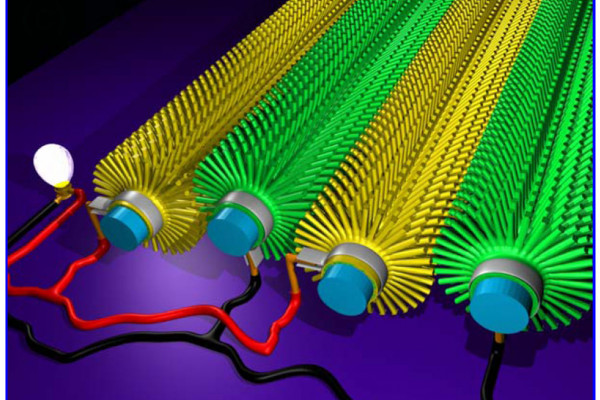 Nanowire Array