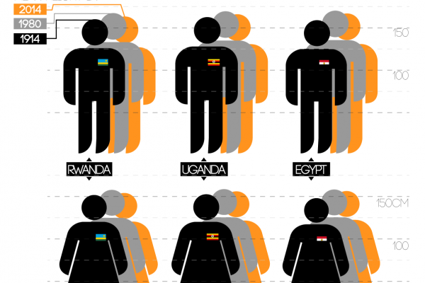 A large scale study reveals how human height has changed in the last 100 years.
