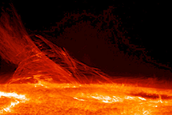  Taken by Hinode's Solar Optical Telescope on Jan. 12, 2007, this image of the sun reveals the filamentary nature of the plasma connecting regions of different magnetic polarity. Hinode captures these very dynamic pictures of the chromosphere. The...