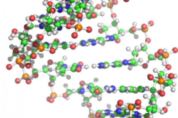 NMR structure of the central region of the human GluR-B R/G pre-mRNA, from the protein data bank ID 1ysv