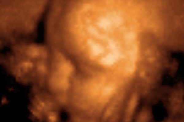 \3D Ultrasound\ of a baby aged 29 weeks.