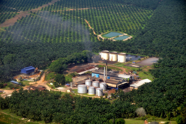 Palm oil mill, Sepang, Malaysia