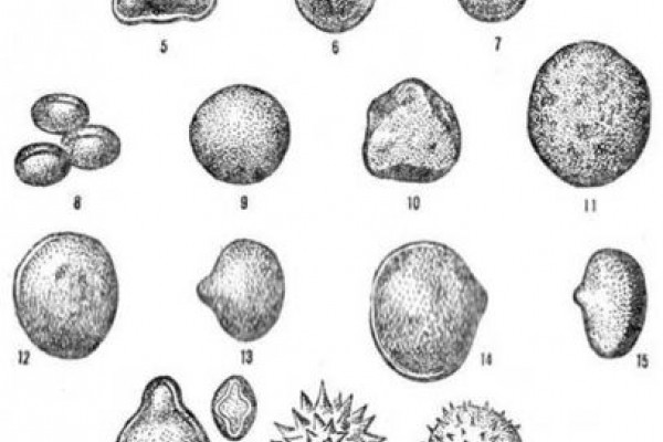 pollen chart