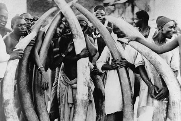 Men with ivory tusks, Dar Es Salaam