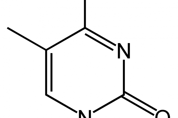 Methylcytosine