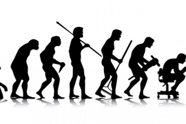 Human evolution