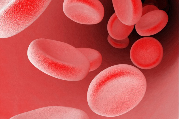 Blood