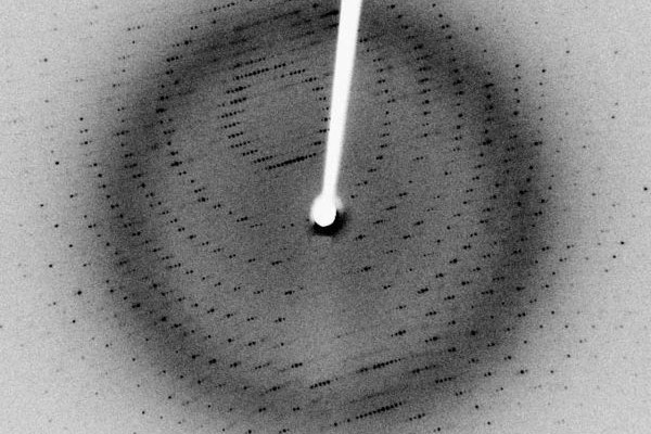 X-ray diffraction pattern of crystallized 3Clpro, a SARS protease. (2.1 Angstrom resolution).