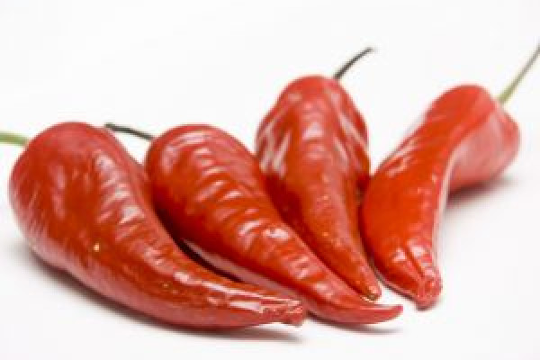 Chillis contain the substance capsaicin which gives them their burning quality. Now scientists are finding out how it works.