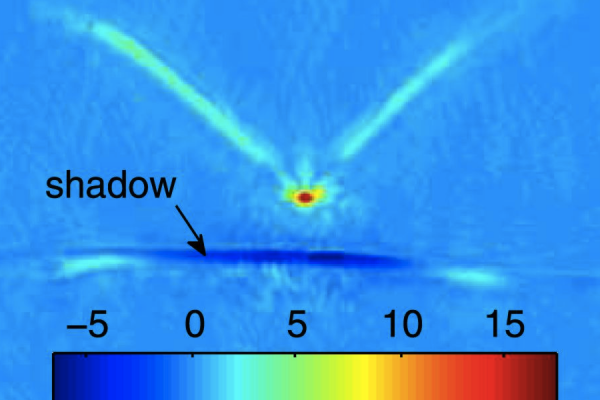Some bats rely on the detection of acoustic shadows to locate their prey.