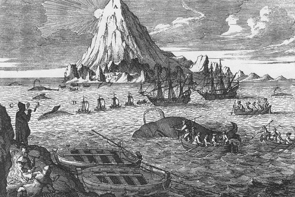 Arctic whaling engraving