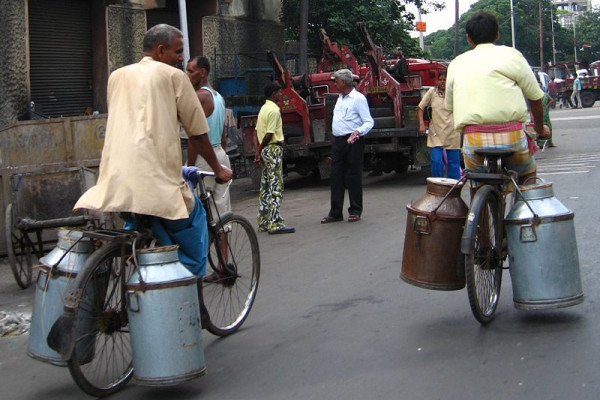 Milk churns being carried on bicycles, Kolkata, India.