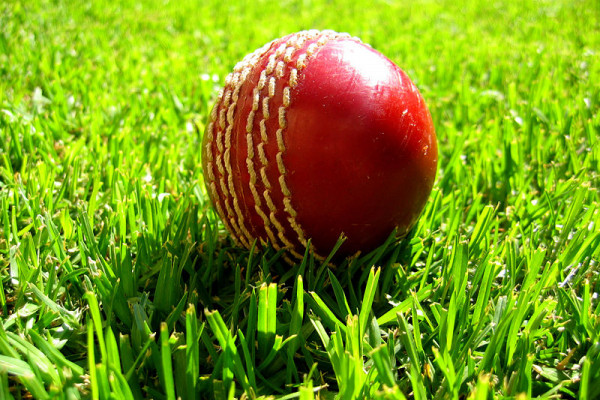 Cricket Ball