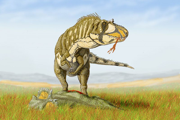 Artist's impression of Daspletosaurus