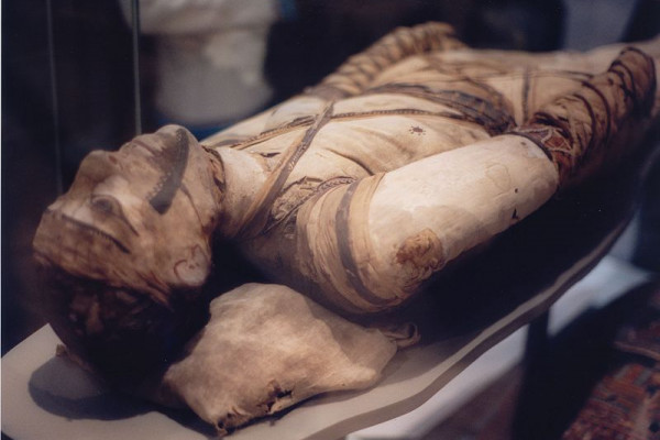 Tubercular decay of Egyptian Mummy