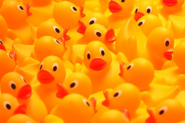 Rubber ducks