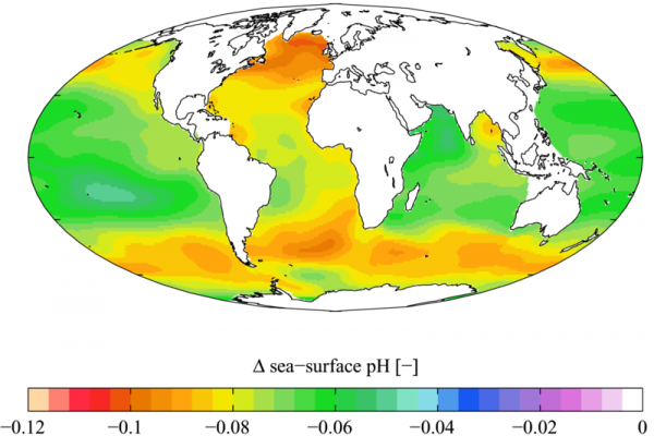 global acidification