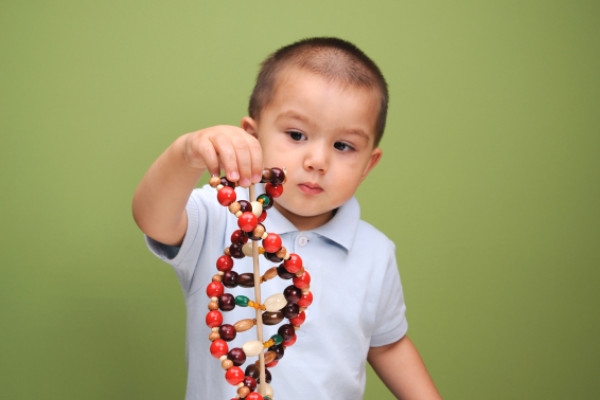 A baby explores a model of DNA