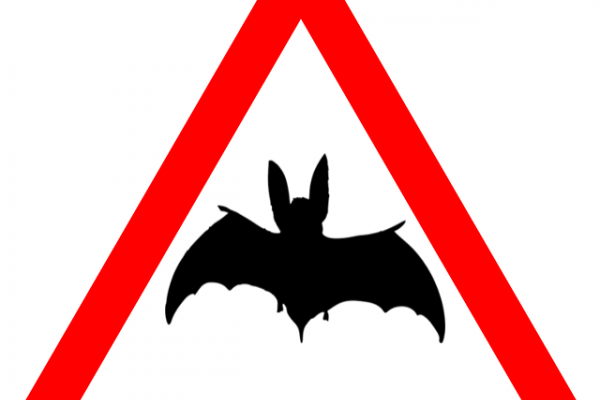 Bat highway code